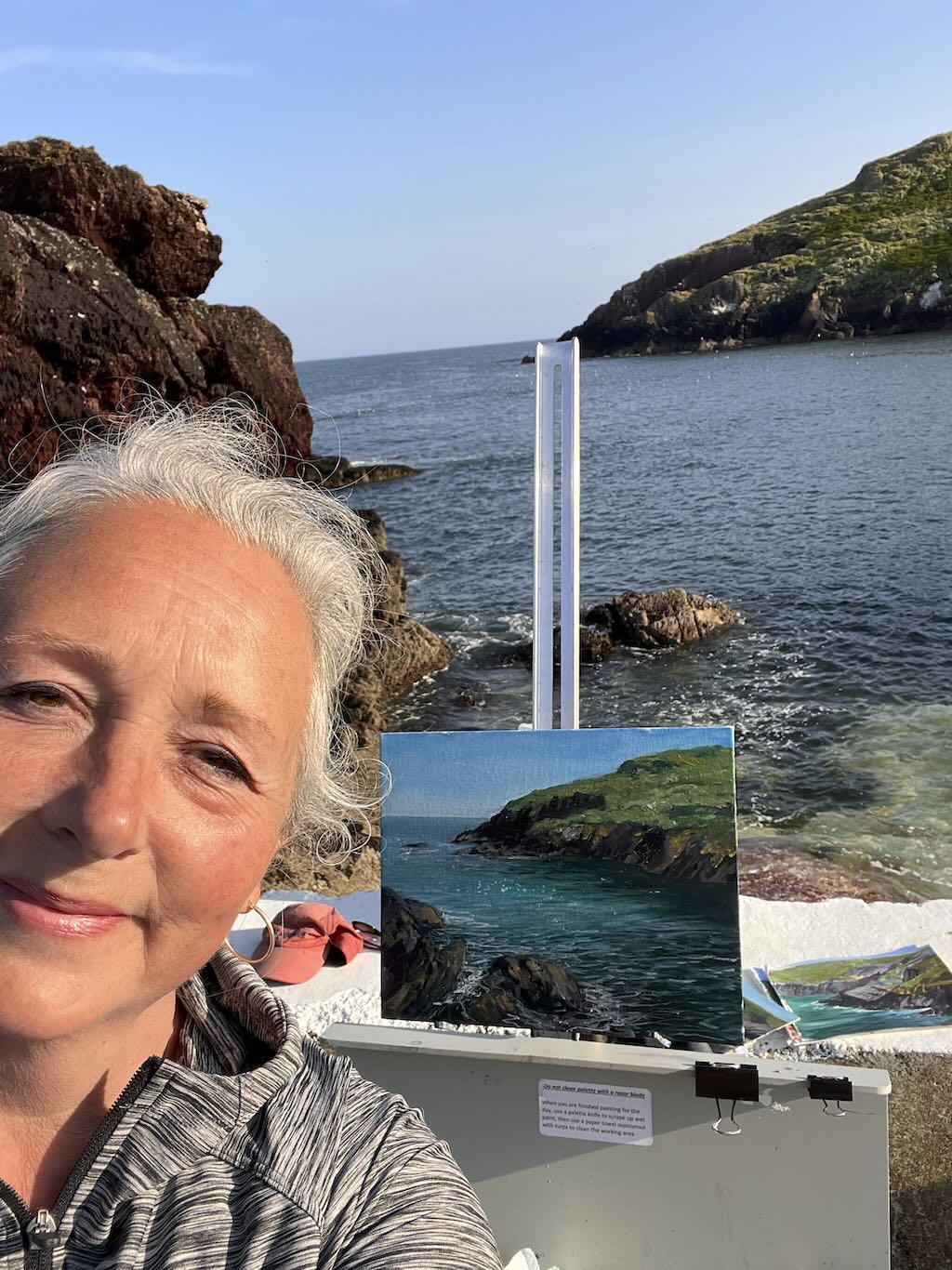 Sarah Jane Brown painting on Skokholm Island