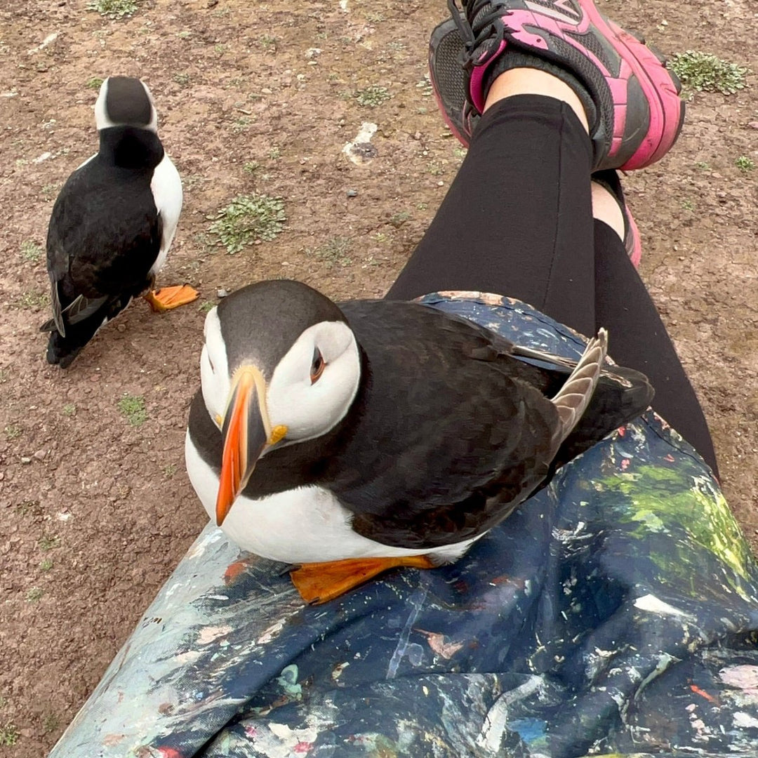 Painting With Puffins! - My Adventure On Dream Island