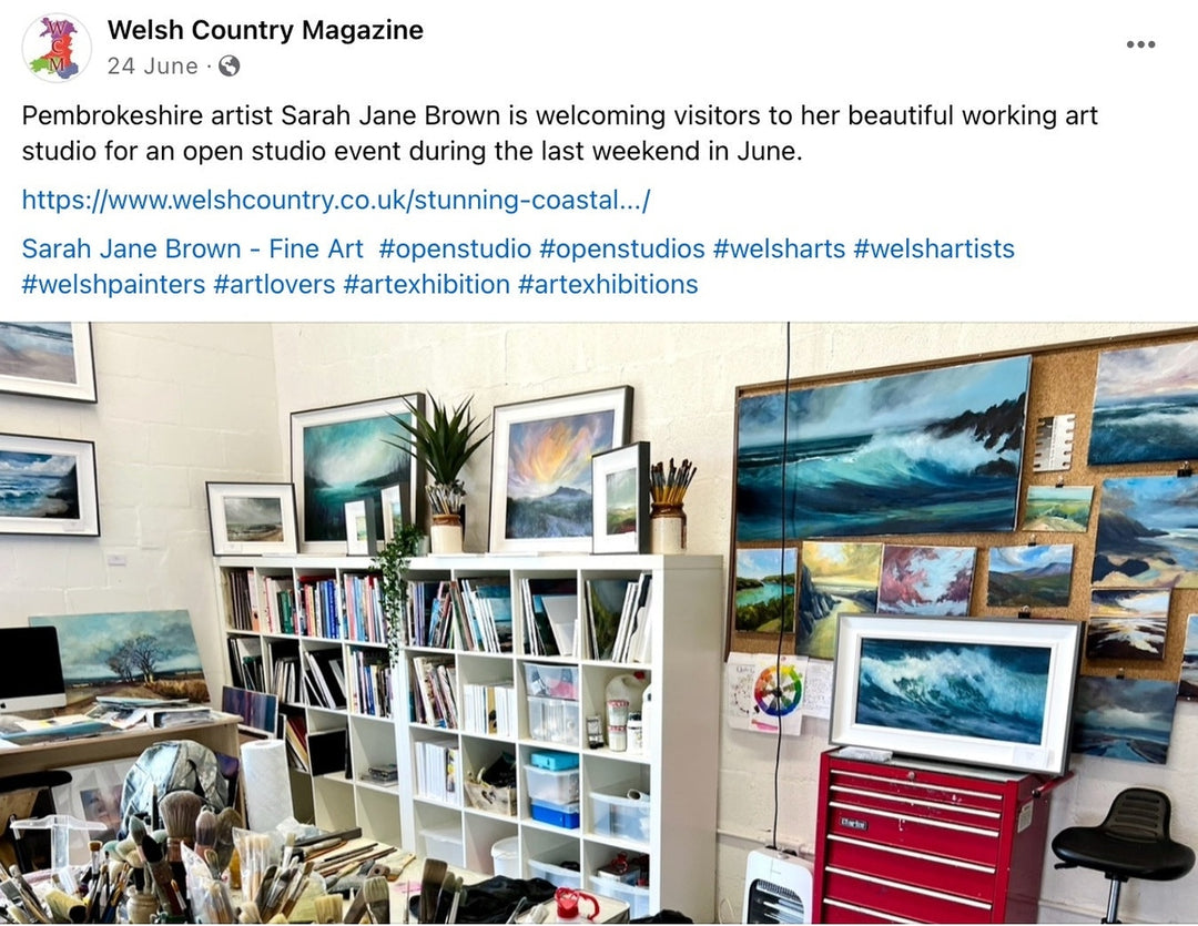 Lovely mention in Welsh Country of my forthcoming June Open Studio