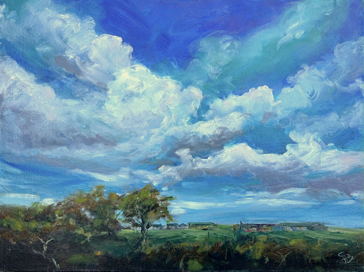 Painting insights: Over the hedge