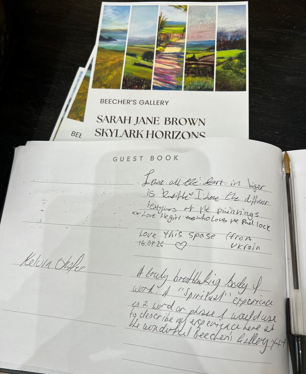 Catch the final week of my solo exhibition - Skylark Horizons