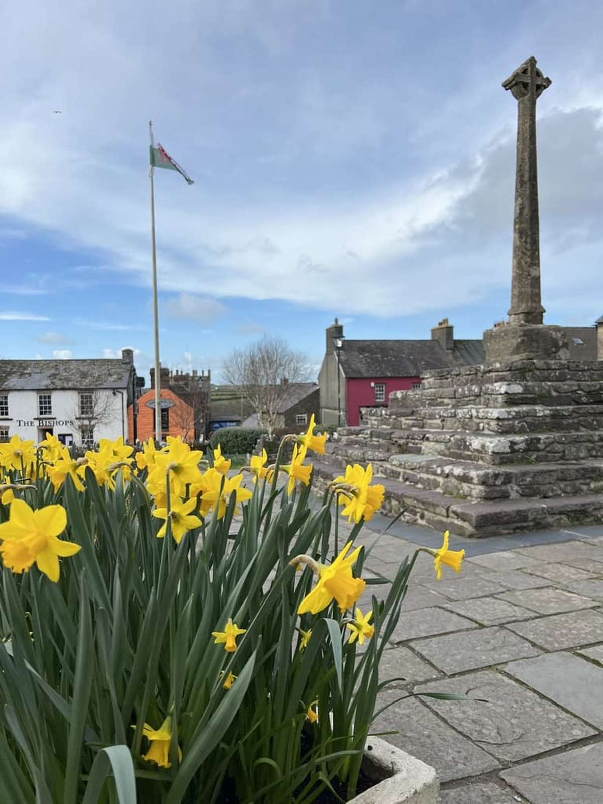 Happy St David's Day - Dydd Gŵyl Dewi Hapus