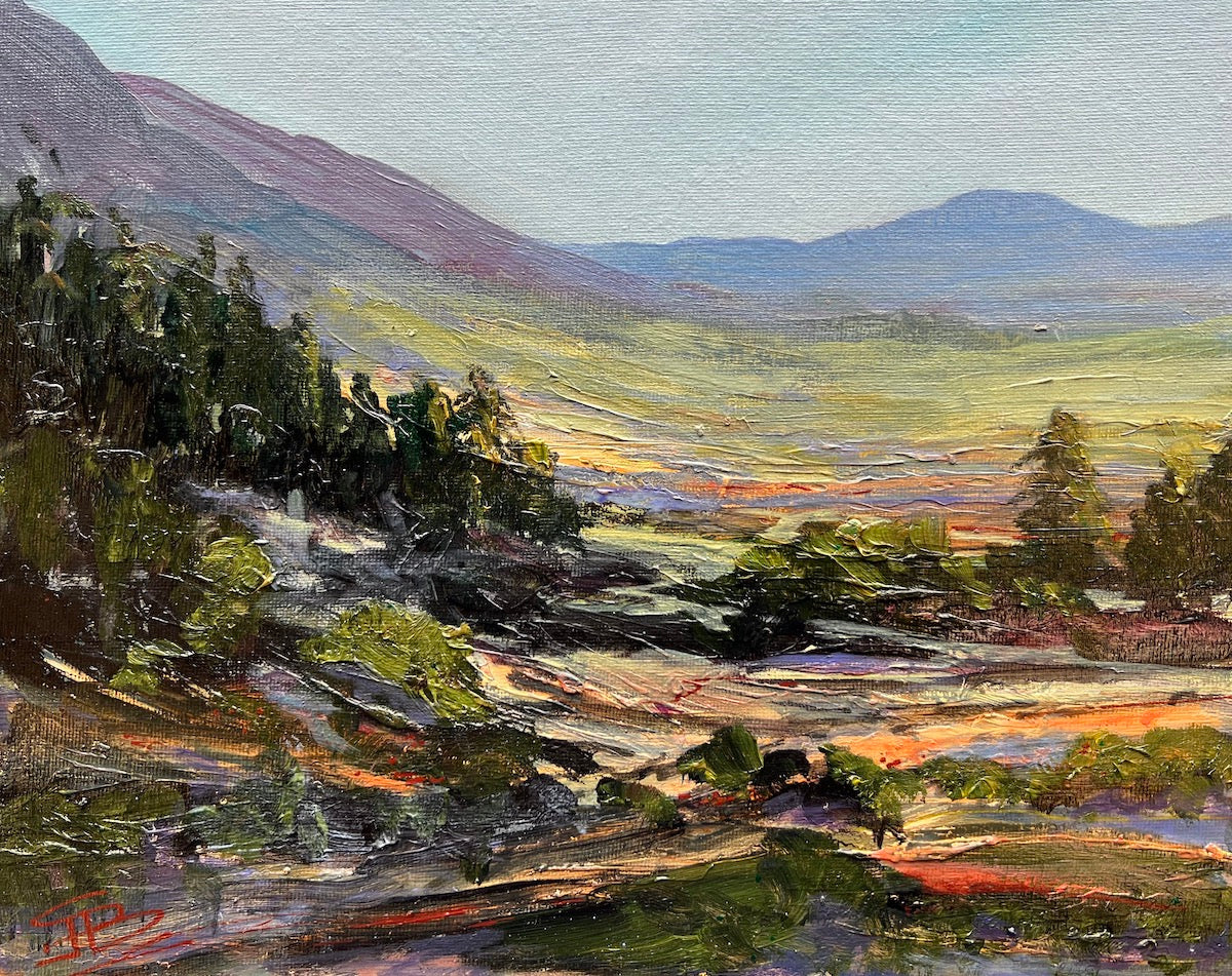 Painting insights: The seeds you plant